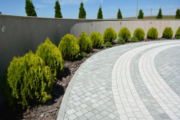 Best Driveway Pavers Near Me  in Oak Grove, MS